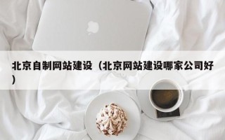 洛阳北京自制网站建设（北京网站建设哪家公司好）