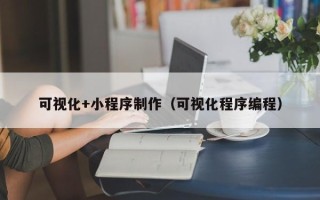 洛阳可视化+小程序制作（可视化程序编程）