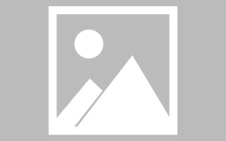 洛阳关于网站建设免费（关于网站建设免费的通知）